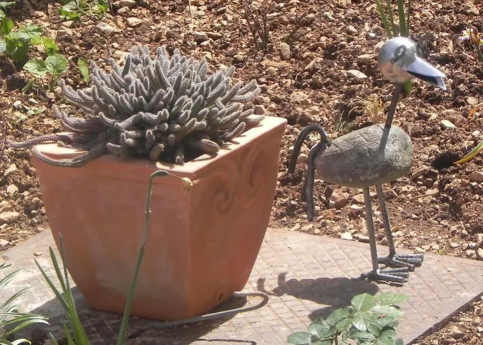 Nanito * تروغير